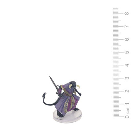 D&D Pre-Painted Icons of the Realm: Rezmir
