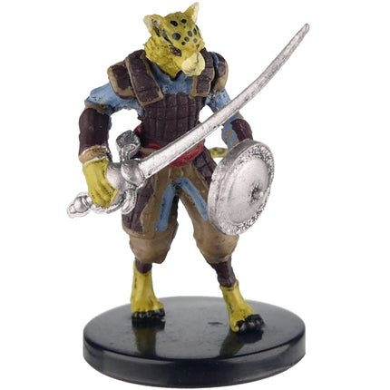 D&D Pre-Painted Icons of the Realm: Tabaxi Fighter