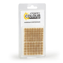 Collection image for: New Arrivals